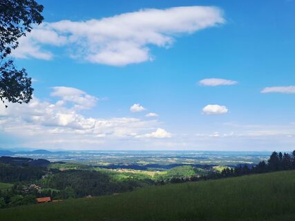 Photo de Nella le long du parcours