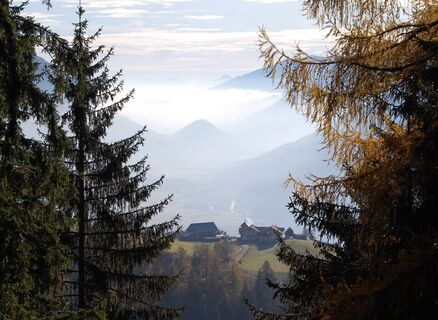 Blick zum Himmelbauer vom Weg zur Staneralm
