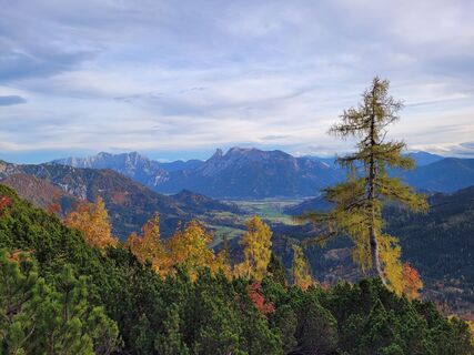 Fotografia z schenkeli na trase