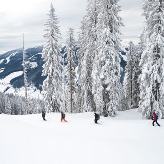 Skitour am Hochkönig