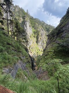 Foto von Babs Holz entlang der Tour