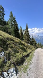 Foto von Mountain Cat ? ⛰️ entlang der Tour