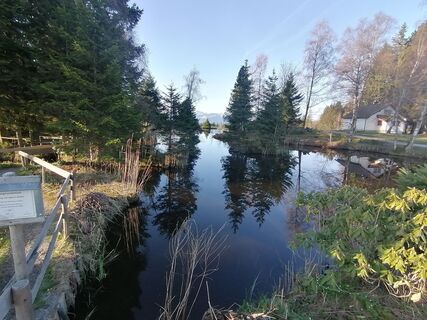 Fotografia z Turbinio na trase