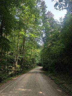 Foto von Floppy 1 entlang der Tour