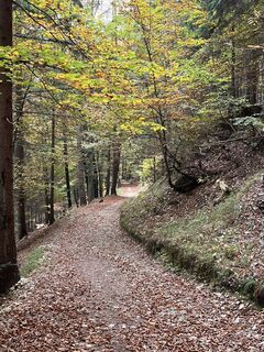 Photo de Andrea Jamer le long du parcours
