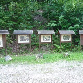 Station entlang des Naturlehrpfades