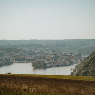 Freinberg