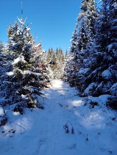 Foto von Albert Grillitsch entlang der Tour