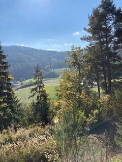 Blick auf Leoben