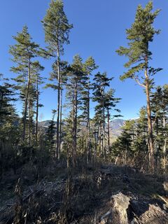 Foto von Andreas Vogel 1 entlang der Tour