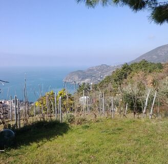 Ein weiterer Aussichtspunkt der Tour