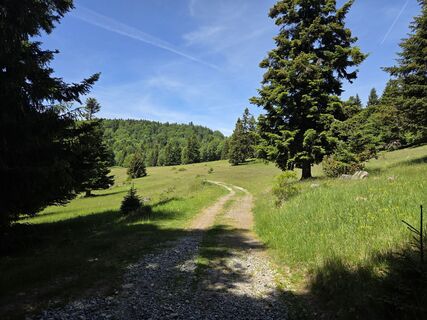 Fotografie z Zolo na trase