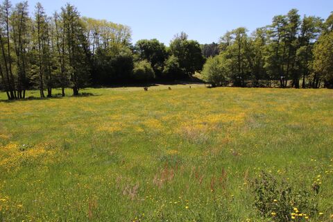 Zdjęcie z Günter Kleutsch wzdłuż trasy