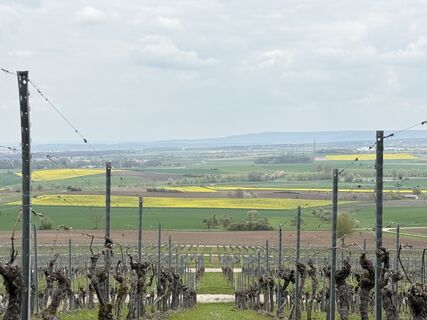 Photo de Norbert Herbig le long du parcours
