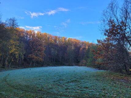 Foto von George50 entlang der Tour