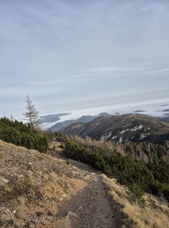 Photo de Sabrina Wachernig le long du parcours