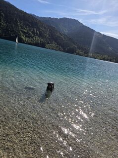 Photo de Silke S. le long du parcours
