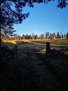 Foto de 3d63 ru^^n3r a lo largo del recorrido