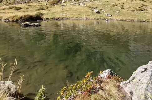 Mountainbike Tour zum Rantensee, Krakau, Steiermark/Österreich