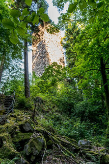 Wegführung zur Burgruine