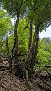 Photo de Richard Schwald le long du parcours