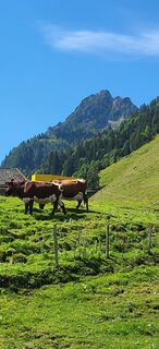 Foto från Marianne under resans gång