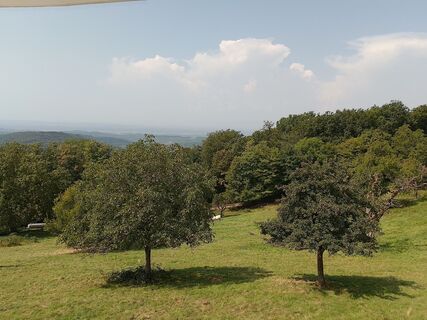 Foto da Henri Alhaeuser lungo il tour