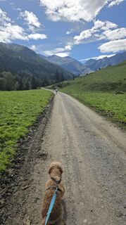 Fotografie z Richard Seba na trase