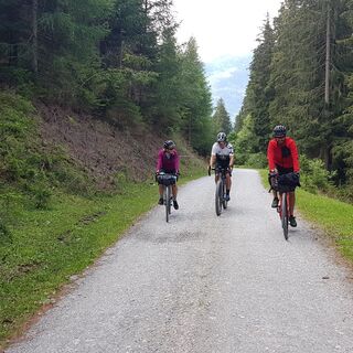 Durch den schattigen Wald am Felberberg