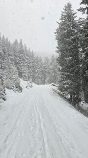 Foto de Andrea Inserra a lo largo del recorrido