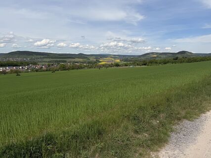 Fotografija s spletne strani Thomas Brümmer na poti