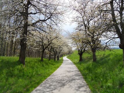 Radweg zwischen Elstra und Prietitz