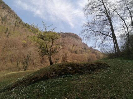 Foto de Turbinio a lo largo del recorrido