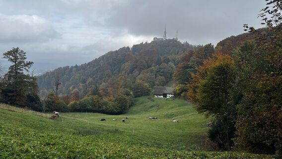 Fotografie de la Pezzotta de-a lungul turului