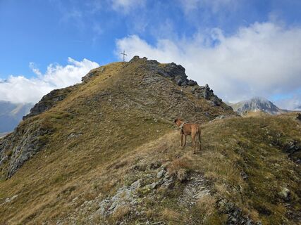 Foto von Schneekar entlang der Tour