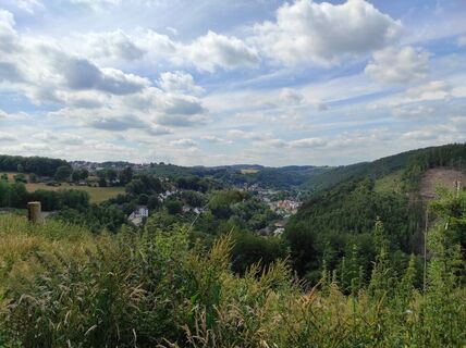 Zemljevid