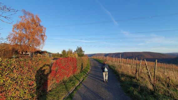 Foto von Jürgen Dubbert entlang der Tour