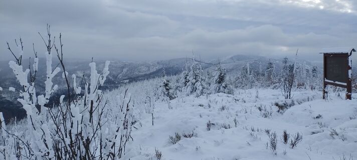 Foto de Sylwiasuchy76 a lo largo del recorrido