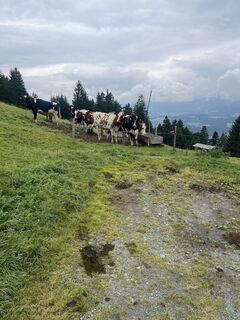 Foto von Serge Entringer entlang der Tour