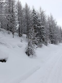 Foto de Claudio Bonin a lo largo del recorrido