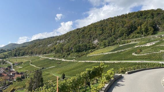 Foto von Vera Schoedl entlang der Tour