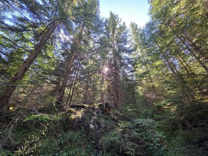 Photo de Michael Kammerer 2 le long du parcours