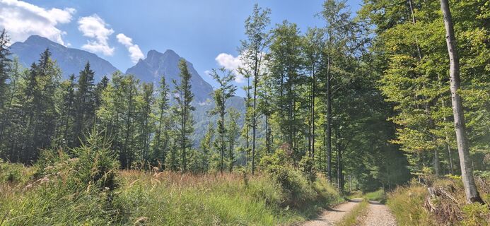 Foto de Hari Schrittwieser a lo largo del recorrido