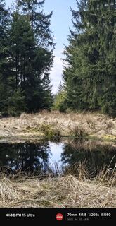 Foto från damilaja242 under resans gång