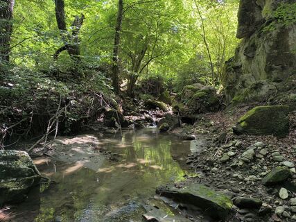 Fotografie z Gerry Girardi na trase