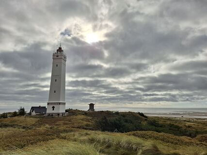 Foto von nordbergschnecke entlang der Tour