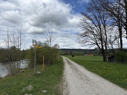 Foto von Similaun entlang der Tour