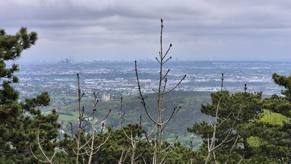 Fotografia z Claudia Maurer na trase