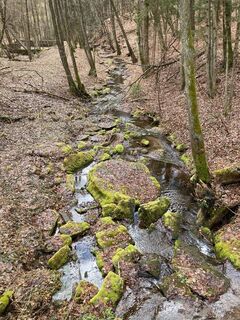 Bach im Wald - Kloster Pernegg - Winter