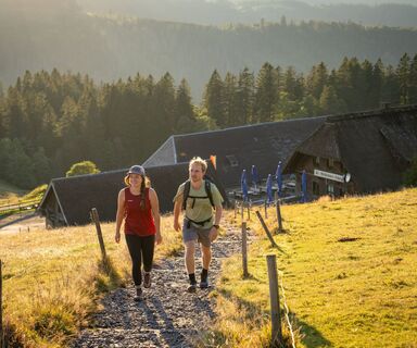Wandern am Feldberg